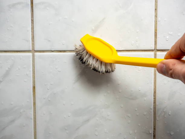 Best Health and Safety Mold Remediation in Satsuma, AL